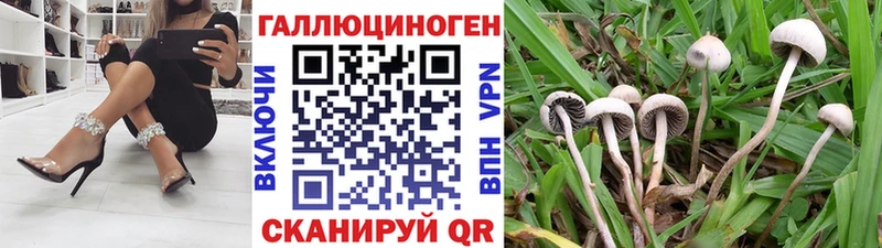 Псилоцибиновые грибы GOLDEN TEACHER  ссылка на мегу как войти  shop телеграм  магазин  наркотиков  Белогорск 